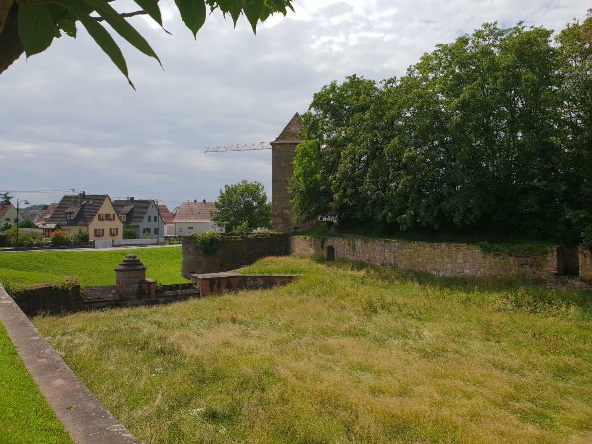 Au Repos Des Remparts Lejlighed Wissembourg Eksteriør billede